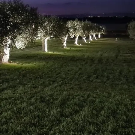 Il Cappero Marzamemi Bed & Breakfast Noto